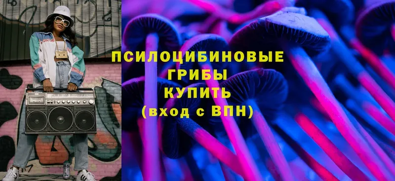 Псилоцибиновые грибы MAGIC MUSHROOMS  Исилькуль 